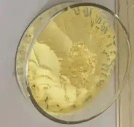 Matrimid HUNTSMAN PI Polyimide Powder Matrimid 5218&9725 Resin